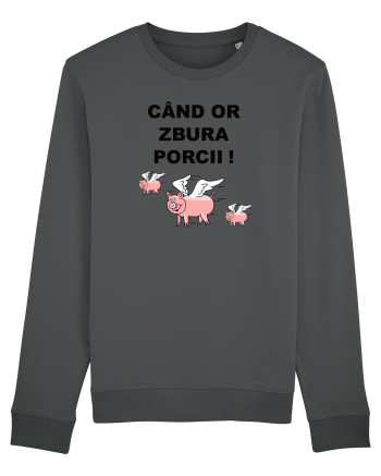 CAND OR ZBURA PORCII Anthracite