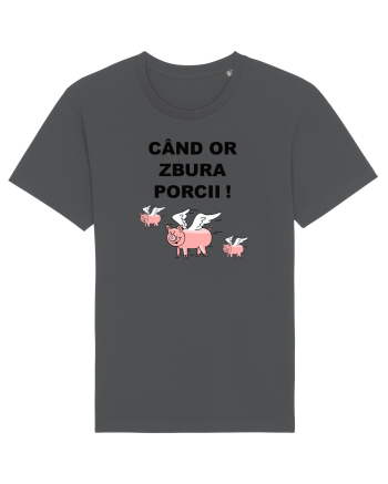 CAND OR ZBURA PORCII Anthracite