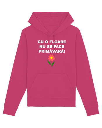 PROVERB Raspberry