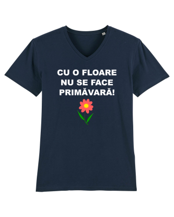 PROVERB French Navy