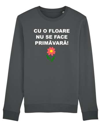 PROVERB Anthracite