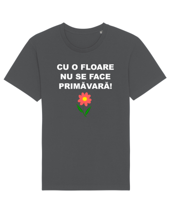 PROVERB Anthracite