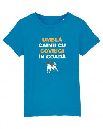 UMBLA CAINII CU COVRIGI IN COADA Azur