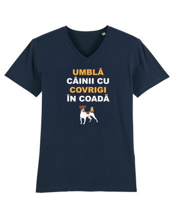 UMBLA CAINII CU COVRIGI IN COADA French Navy