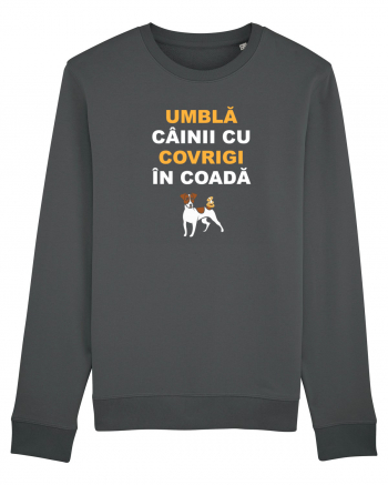 UMBLA CAINII CU COVRIGI IN COADA Anthracite