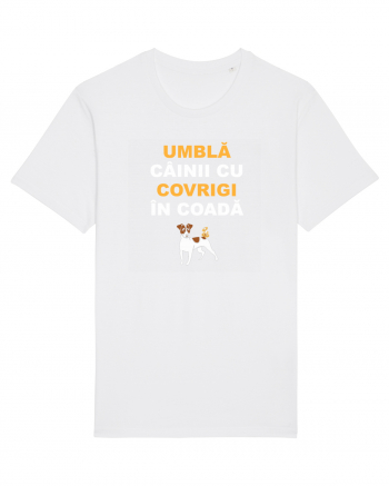 UMBLA CAINII CU COVRIGI IN COADA White