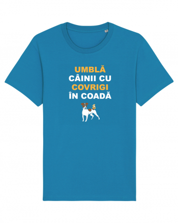 UMBLA CAINII CU COVRIGI IN COADA Azur