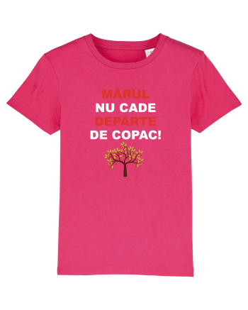 MARUL NU CADE DEPARTE DE COPAC Raspberry