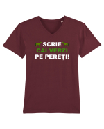 SCRIE CAI VERZI PE PERETI Tricou mânecă scurtă guler V Bărbat Presenter