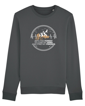 Into the forest Anthracite
