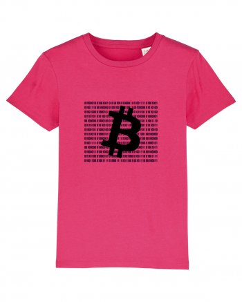 Bitcoin Binary Box Raspberry