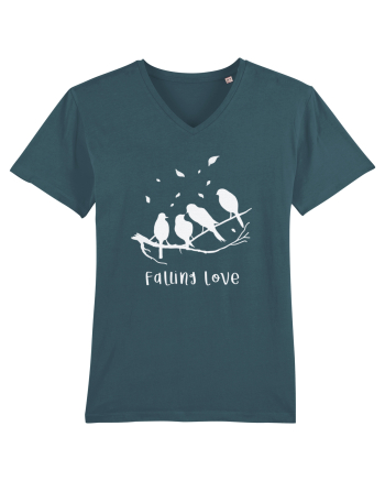falling love Stargazer
