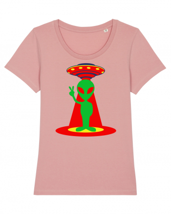 Alien and UFO Canyon Pink