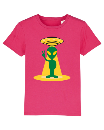 Alien And UFO Raspberry
