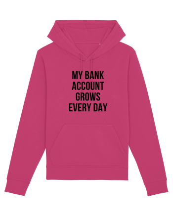 My bank account grows everyday Raspberry