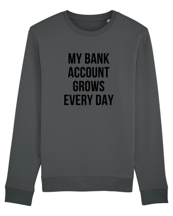 My bank account grows everyday Anthracite