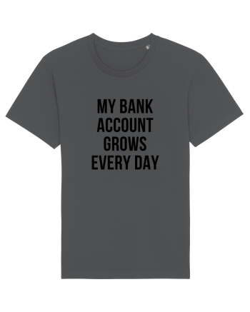 My bank account grows everyday Anthracite