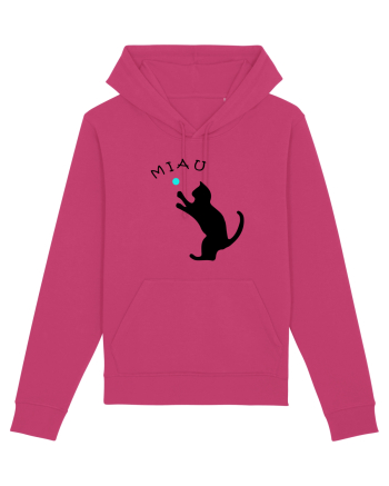 Cat silhouette  Raspberry