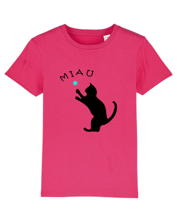 Cat silhouette  Raspberry