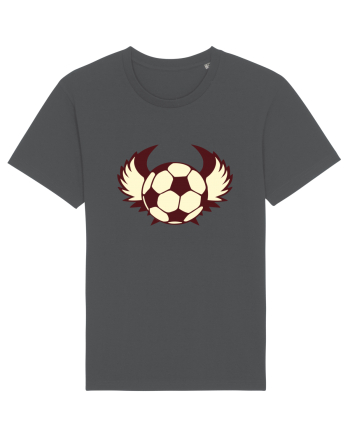 Pentru Iubitorii De Football  Anthracite