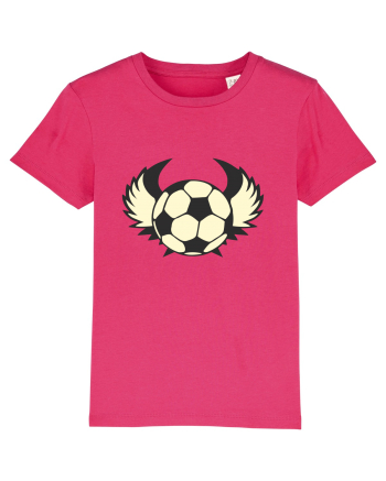 Pentru Iubitorii De Football  Raspberry
