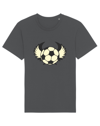 Pentru Iubitorii De Football  Anthracite