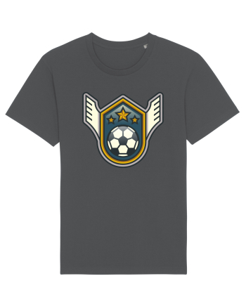 Pentru Iubitorii De Football  Anthracite