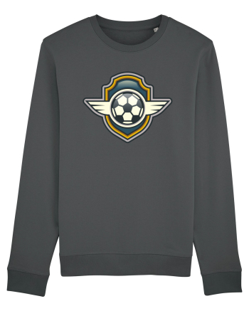 Pentru Iubitorii De Football  Anthracite