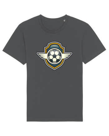 Pentru Iubitorii De Football  Anthracite