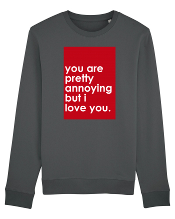 You Are Pretty Annoying But I love You Anthracite
