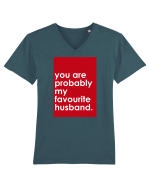 You Are probably My Favourite Husband  Tricou mânecă scurtă guler V Bărbat Presenter