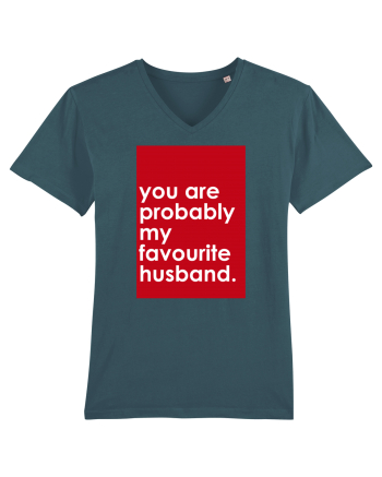 You Are probably My Favourite Husband  Stargazer