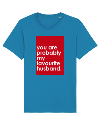 You Are probably My Favourite Husband  Azur