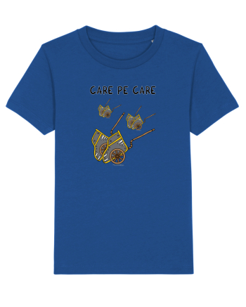 Care pe care Majorelle Blue
