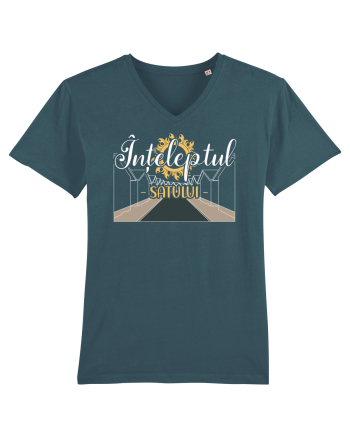 Inteleptul satului Stargazer