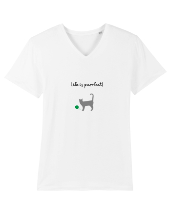Life is purrfect! White