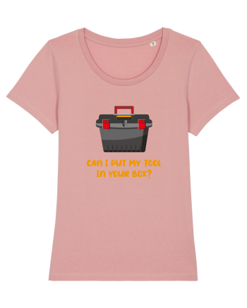 Can I Put My Tool In Your Box? Canyon Pink