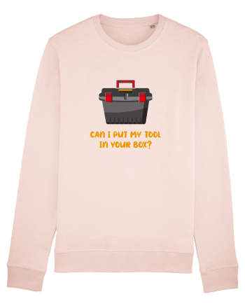 Can I Put My Tool In Your Box? Candy Pink