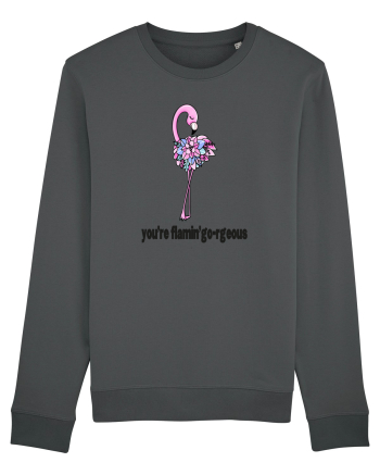 You're Flamin'go-rgeous! Anthracite