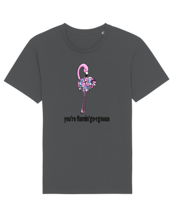 You're Flamin'go-rgeous! Anthracite
