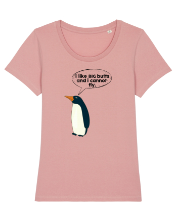 I Like Big Butts And I Cannot Fly Canyon Pink