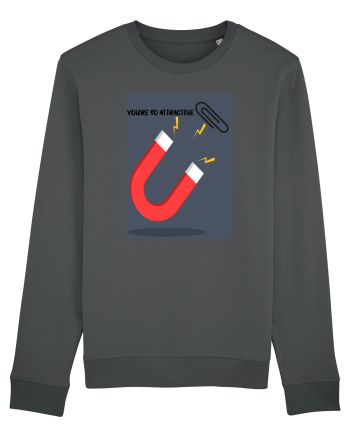 You're So Attractive Anthracite