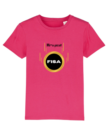 Mi-a picat fisa Raspberry