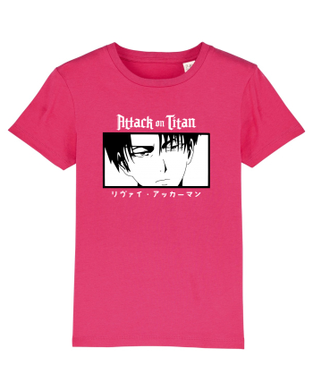 Attack on Titan Raspberry
