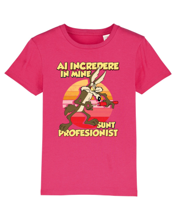 Ai încredere - Sunt profesionist Raspberry