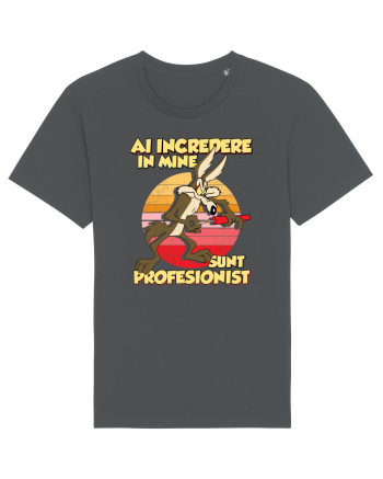 Ai încredere - Sunt profesionist Anthracite