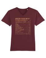 December Born Fun Facts Tricou mânecă scurtă guler V Bărbat Presenter