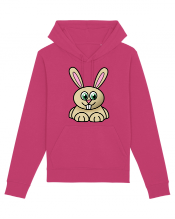 Bunny Cartoon Raspberry