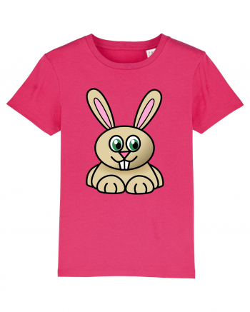 Bunny Cartoon Raspberry