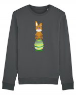 Rabbit on easter egg Bluză mânecă lungă Unisex Rise